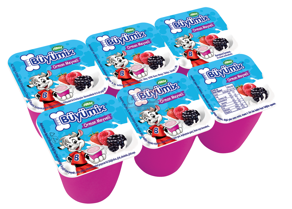 Sütaş Büyümix Orman Meyveli 6 x 40 G