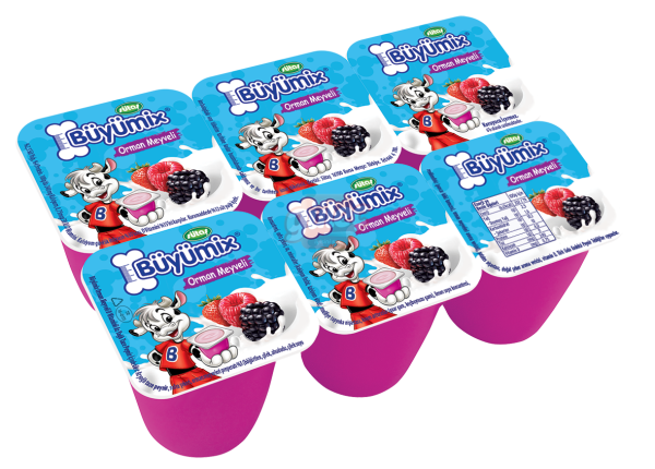 Sütaş Büyümix Orman Meyveli 6 x 40 G
