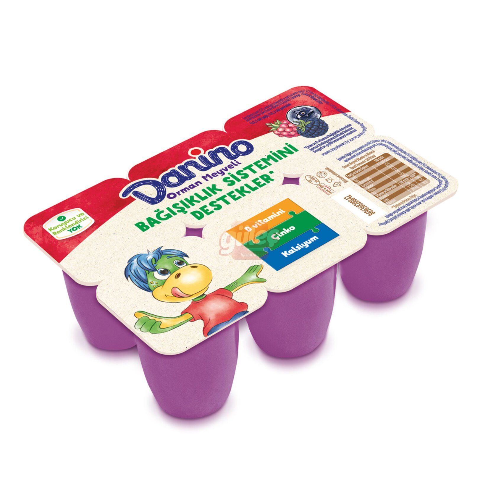 Danone Danino Orman Meyveli 6 x 40 G