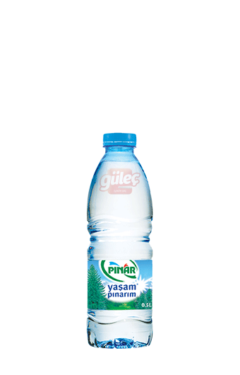 Pınar Su 0,5 L