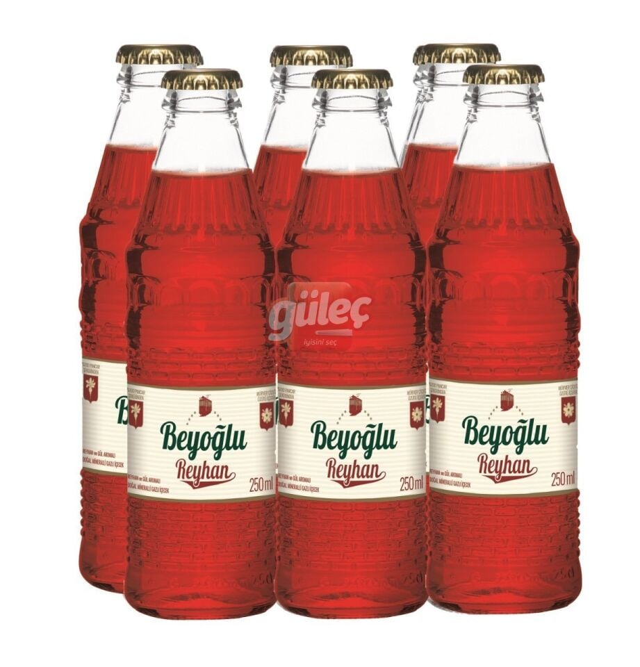 Beyoğlu Reyhanlı Gazoz 6 x 250 Ml