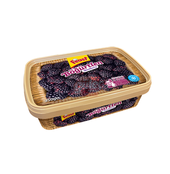 Feast Böğürtlen 350 G
