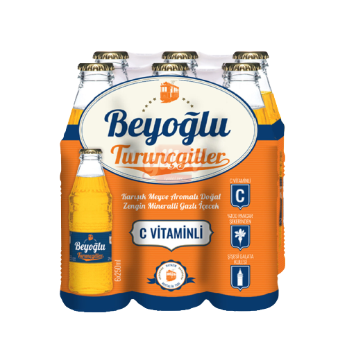 Beyoğlu Turunçgiller Aromalı Gazoz 6x250 Ml