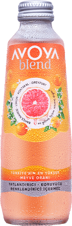 Avoya Blend Greyfurt & Portakal Meyveli Maden Suyu 6 x 250 Ml