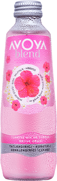 Avoya Blend Hibisküs Meyveli Maden Suyu 6 x 250 Ml