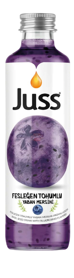 Juss Fesleğen Tohumlu Yaban Mersini Aromalı İçecek 250 Ml