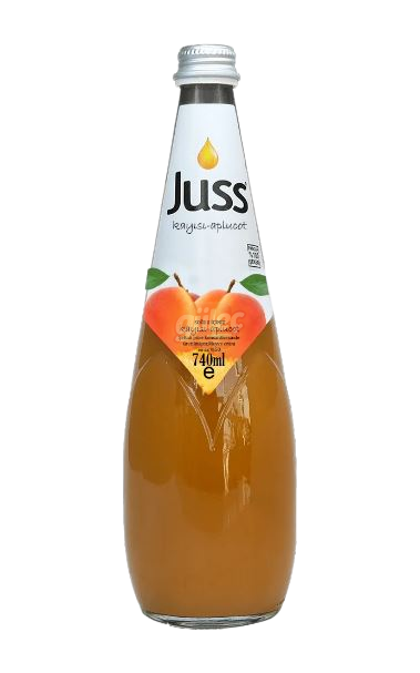 Juss Kayısı Nektarı Cam Şişe 740 Ml