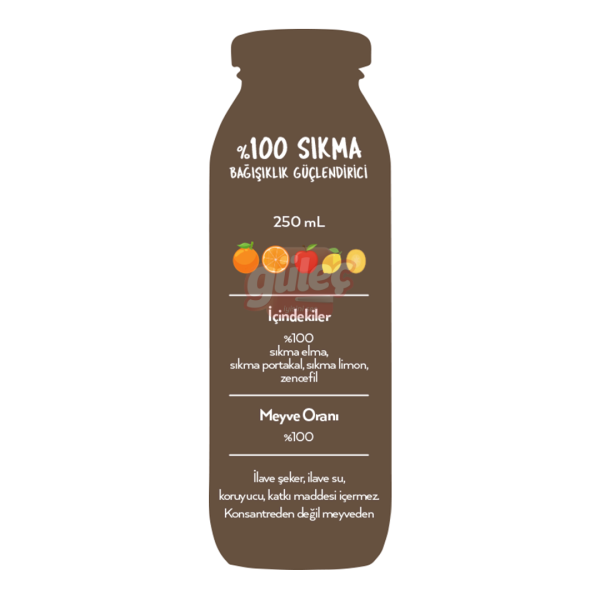 Naren Sıkma Zencefil-Portakal-Limon Elma Suyu 250 Ml