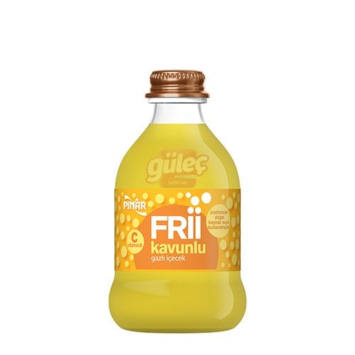 Pınar Frii Kavun Aromalı Gazlı İçecek 250 Ml