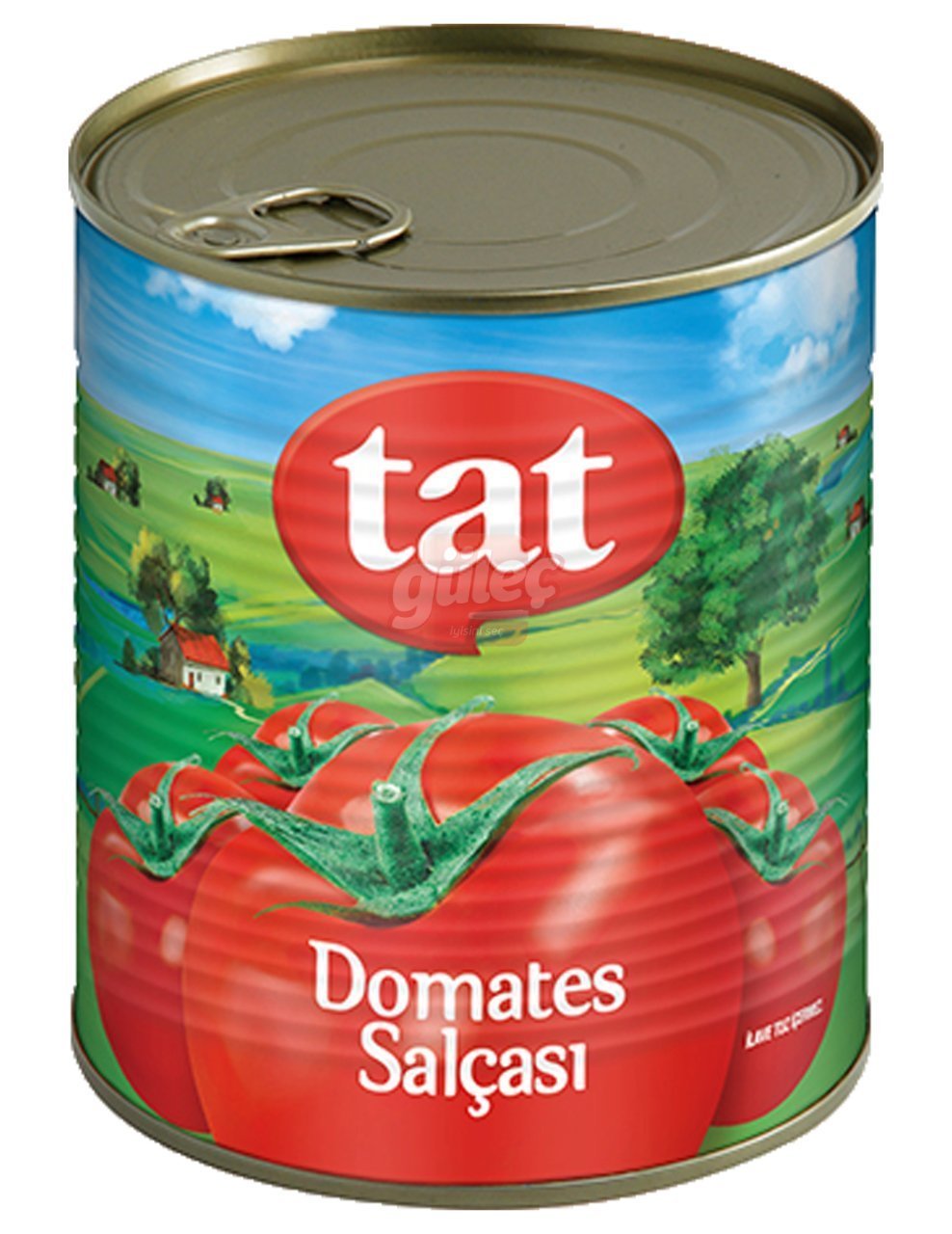 Tat Domates Salçası 830 G