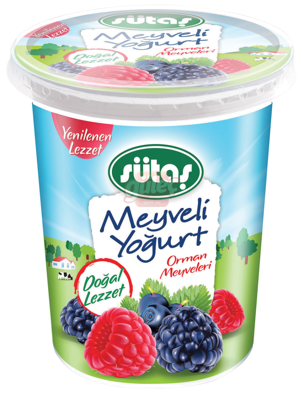 Sütaş Orman Meyveli Yoğurt 500 G